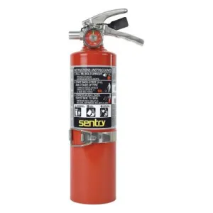 Ansul® SENTRY Dry Chemical Hand Portable Extinguisher, Class ABC Fires, 2.5lb Cap. Wt., 438735-A02SVB