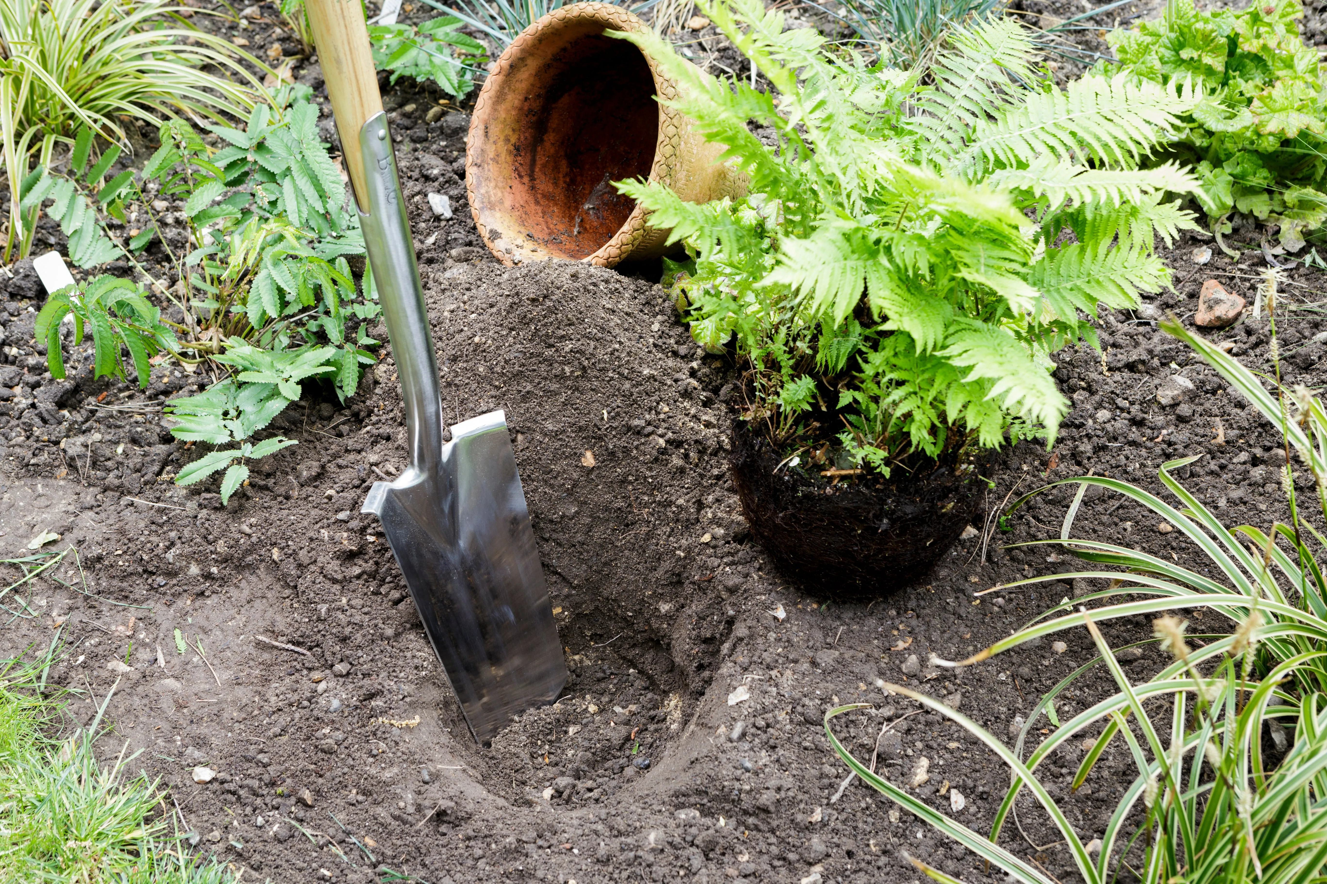 Burgon & Ball RHS Transplanting Spade