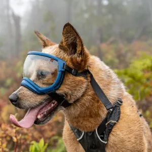 Rex Specs Dog Goggles V2