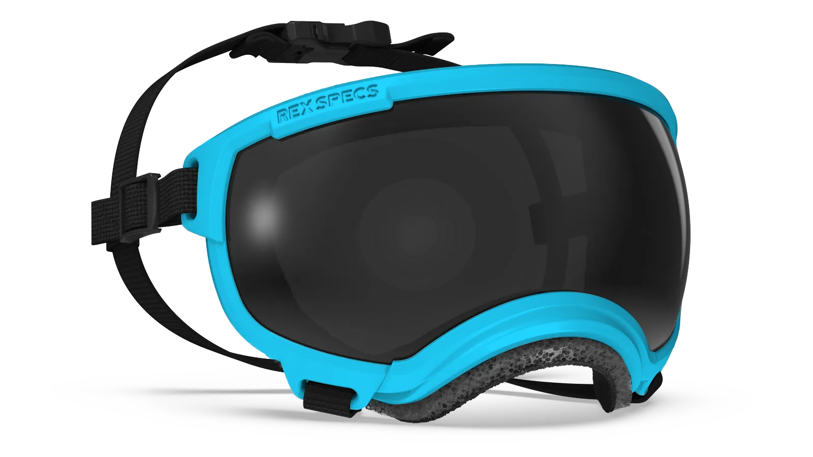 Rex Specs Dog Goggles V2