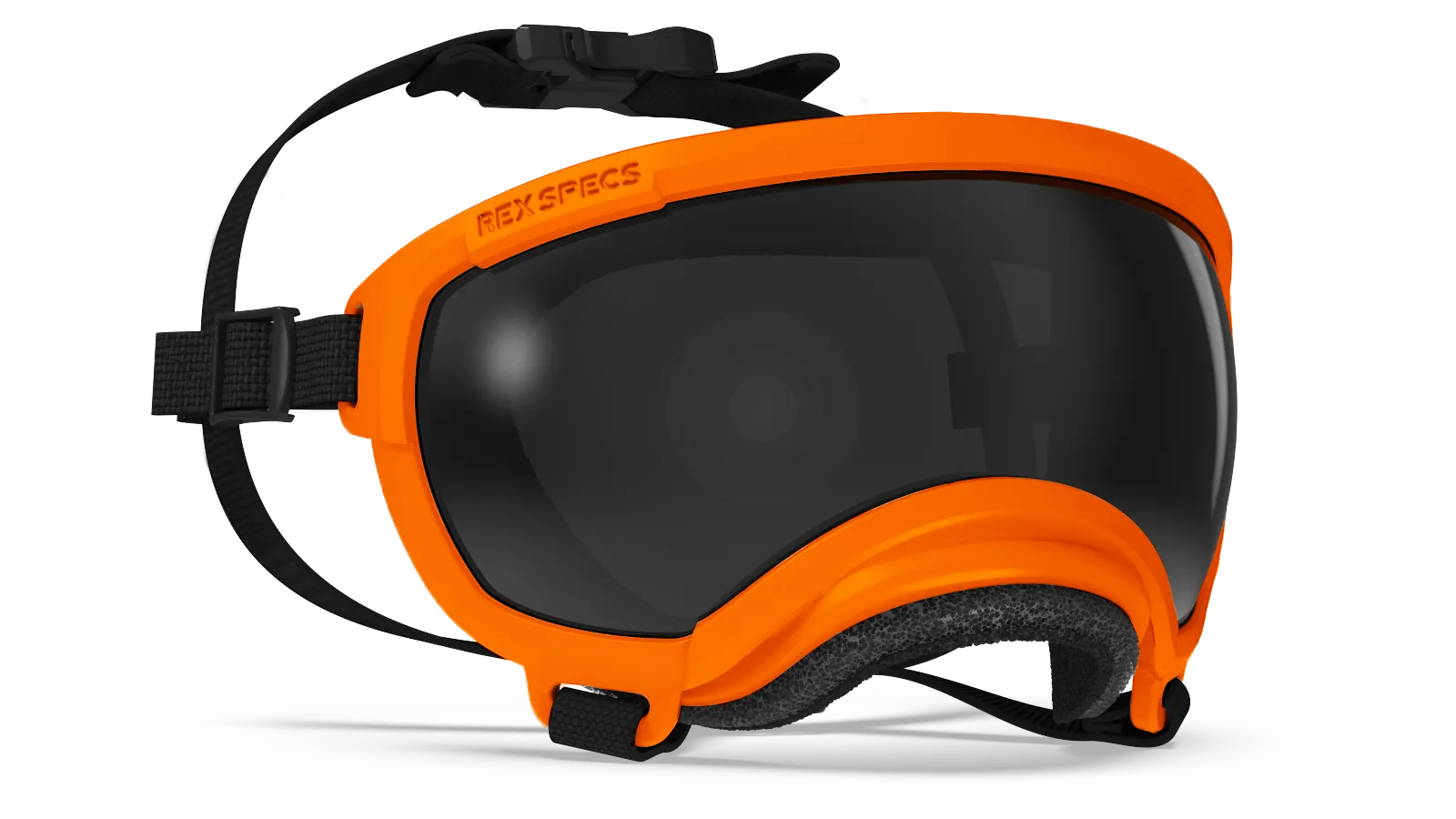 Rex Specs Dog Goggles V2